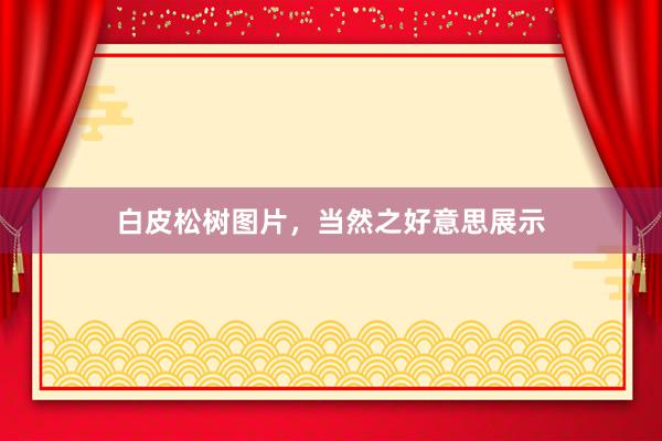白皮松树图片，当然之好意思展示